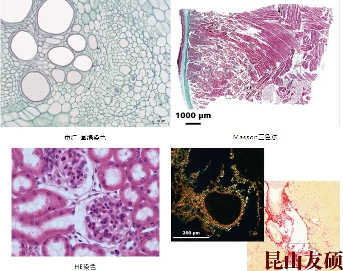 1684813074488961.jpg 360截图20230523113620025.jpg